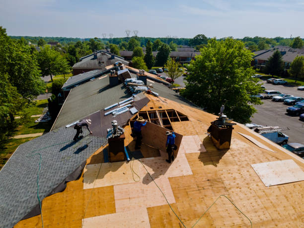 Trusted Roof Installation service in West College Corner, IN - Brentwood Metal Roofing